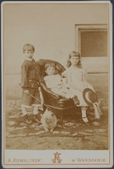 Maurycy (1871-1939), Franciszek Tomasz (1873-1927) i Natalia (1870-1944) Zamoyscy